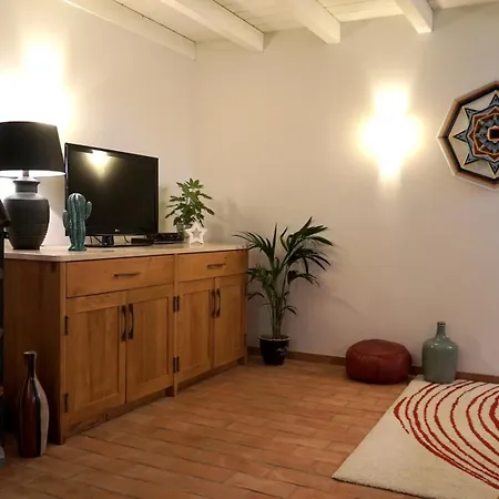 Mas Des Fleurs - Mimosa * 佩皮尼昂