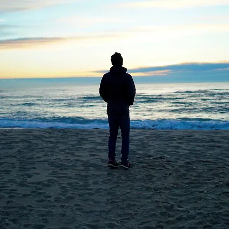 Mas Des Fleurs - Mimosa Appartement