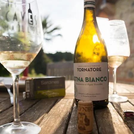 Appartement Mas Des Fleurs - Mimosa Perpignan