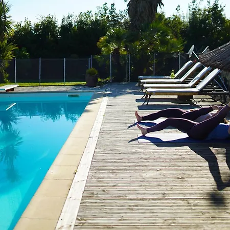 Mas Des Fleurs - Mimosa *