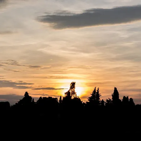 Appartement Mas Des Fleurs - Mimosa
