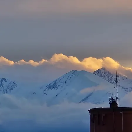 Mas Des Fleurs - Mimosa *