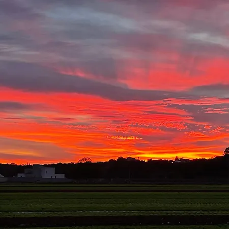 Mas Des Fleurs - Mimosa Appartement