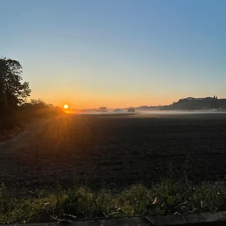 Appartement Mas Des Fleurs - Mimosa *