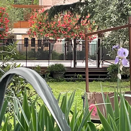 Mas Des Fleurs - Mimosa * Perpignan