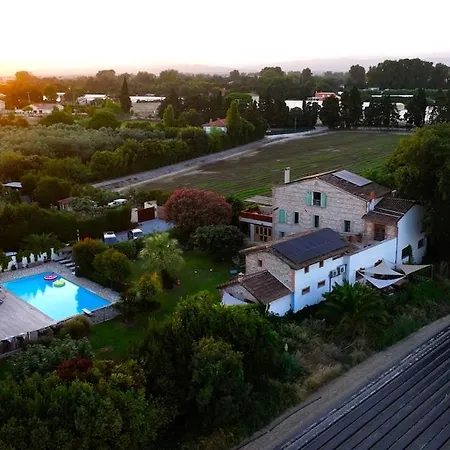 Mas Des Fleurs - Mimosa