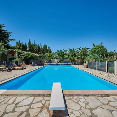 Mas Des Fleurs - Mimosa *