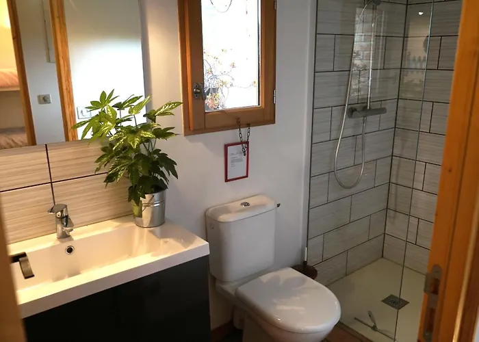 Mas Des Fleurs - Mimosa *