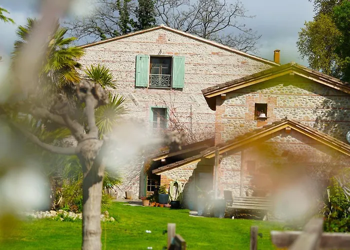 Mas Des Fleurs - Mimosa Daire Perpignan