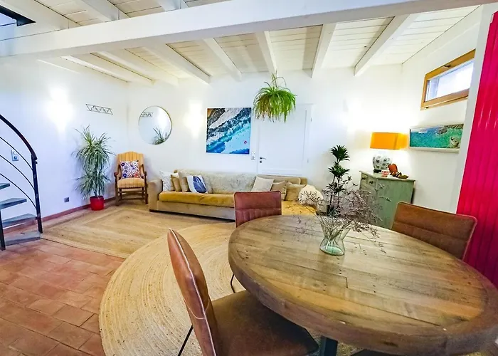 Daire Mas Des Fleurs - Mimosa *