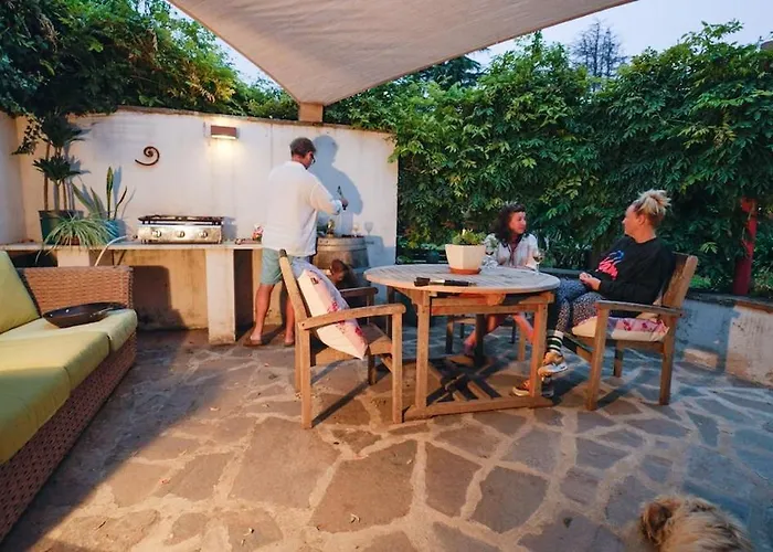 Mas Des Fleurs - Mimosa Daire *