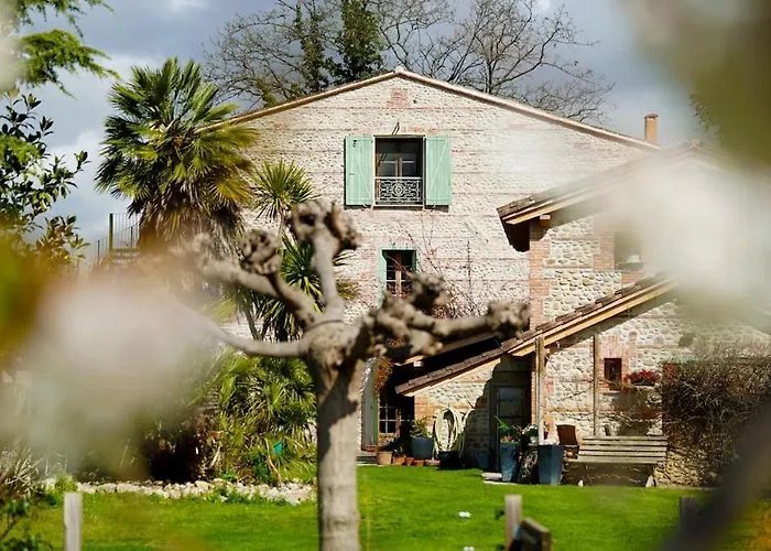 Mas Des Fleurs - Mimosa