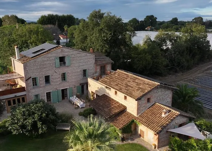 Mas Des Fleurs - Mimosa * Περπινιάν