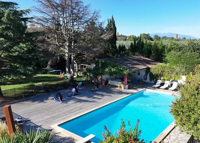 Mas Des Fleurs - Mimosa Περπινιάν