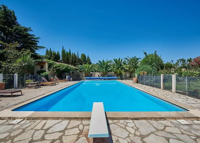 Mas Des Fleurs - Mimosa *