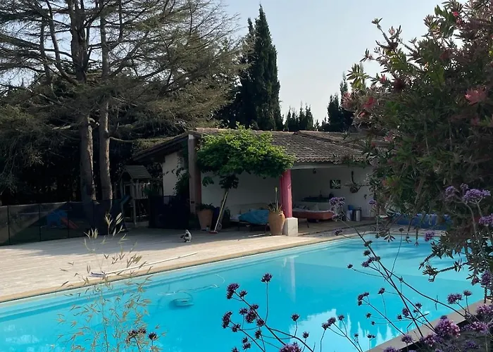 Mas Des Fleurs - Mimosa * Περπινιάν